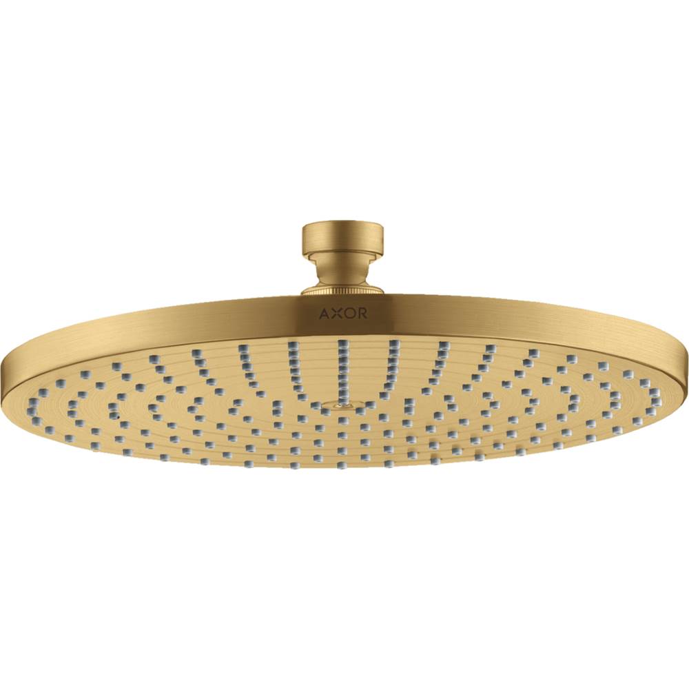 Axor ShowerSolutions Showerhead  240 1-Jet Powder Rain, 2.5 GPM in Brushed Gold Optic