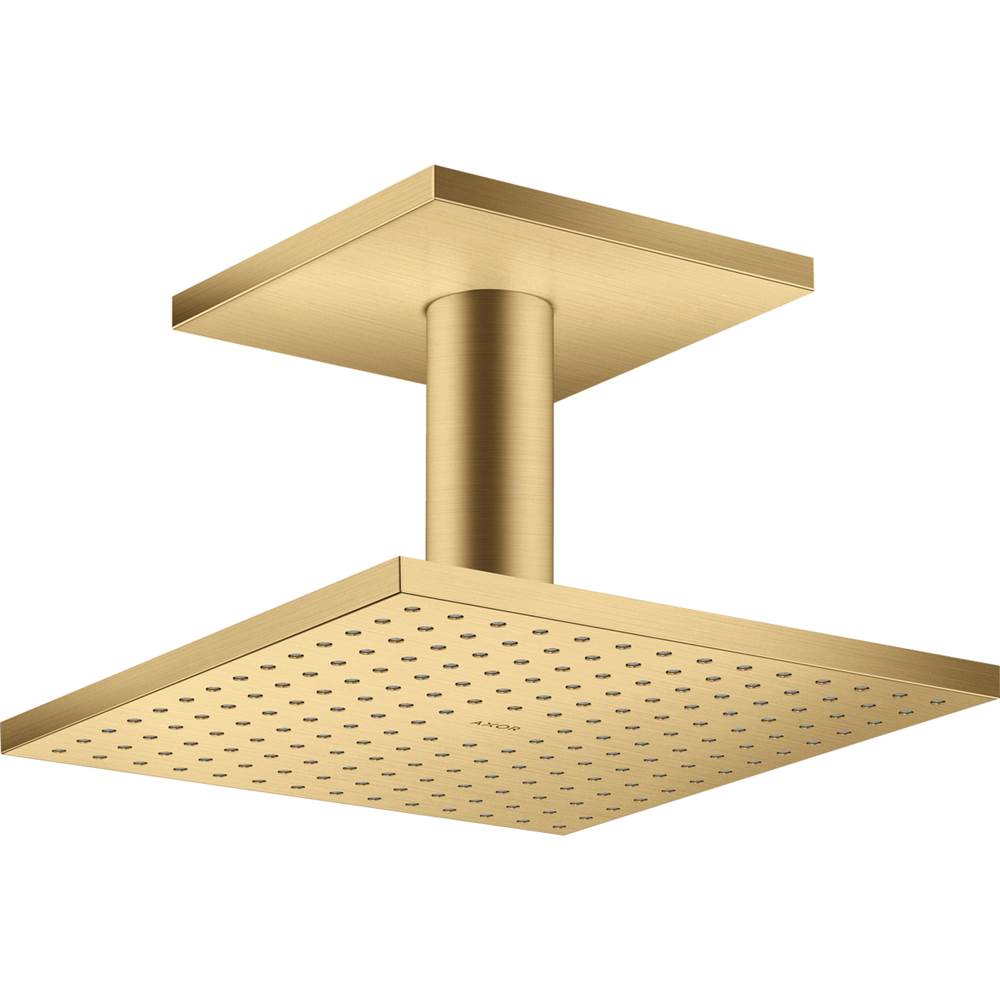 Axor ShowerSolutions Showerhead 250 Square 2-Jet Ceiling Connection, 1.75 GPM in Brushed Gold Optic