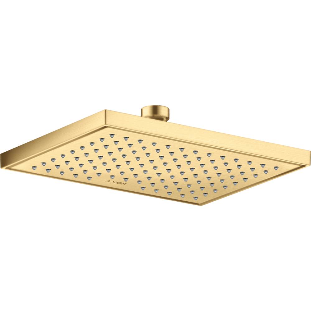 Axor ShowerSolutions Showerhead Square 245/185 1-Jet, 2.5 GPM in Brushed Gold Optic